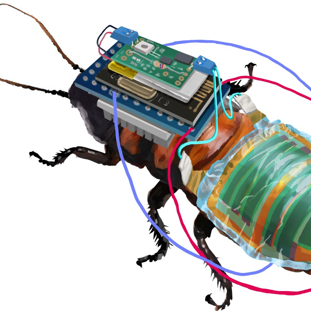 Japanese Scientists Create Remote-Controlled Cyborg Cockroaches
