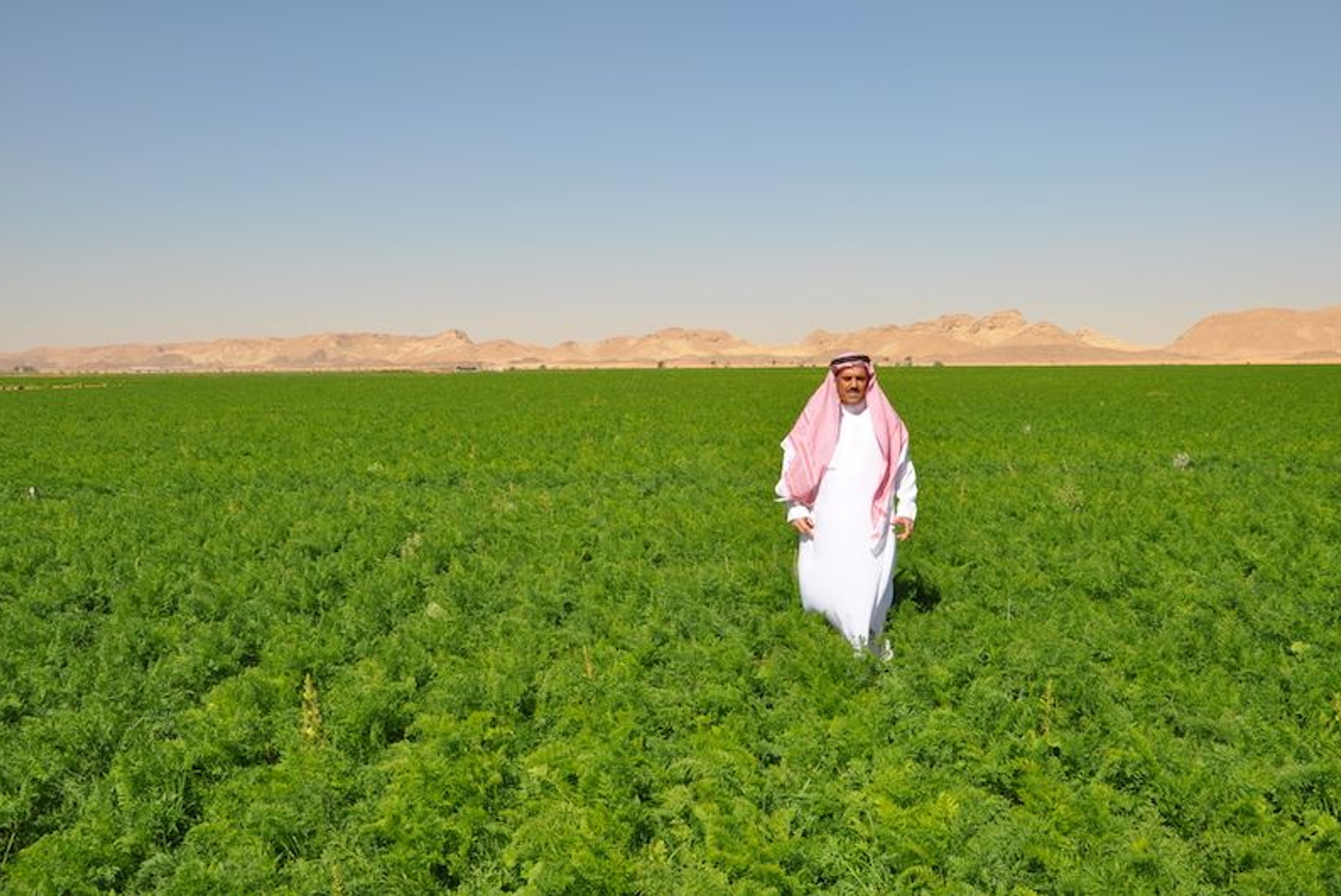Halal Foodtech