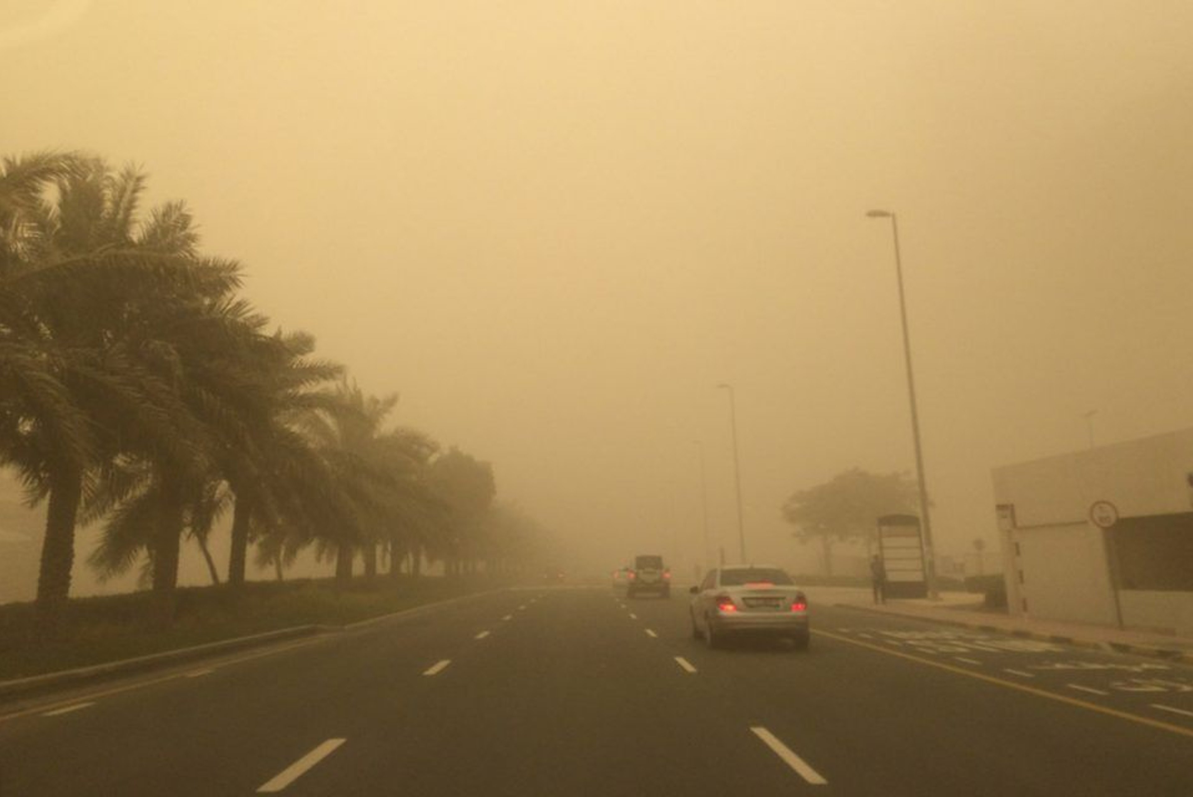 How to Survive a Sandstorm?