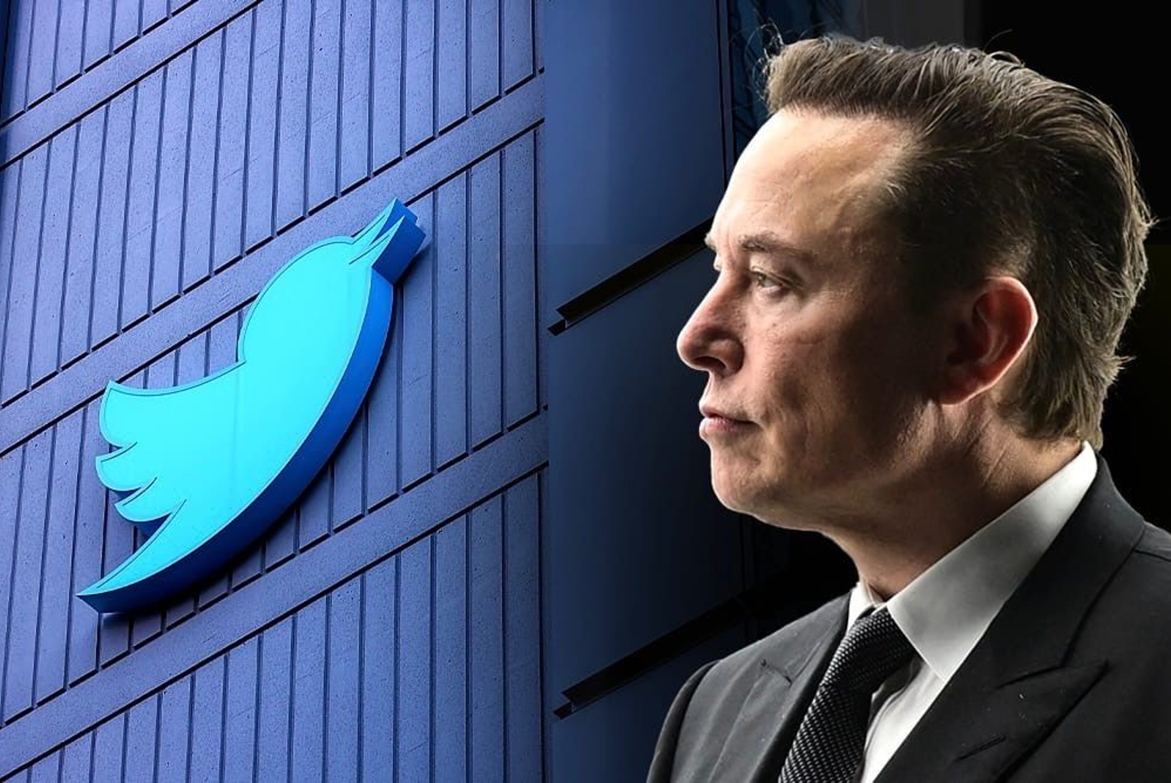 Musks Claims Twitter's "Fake Account" Evasion Is a Major Breach