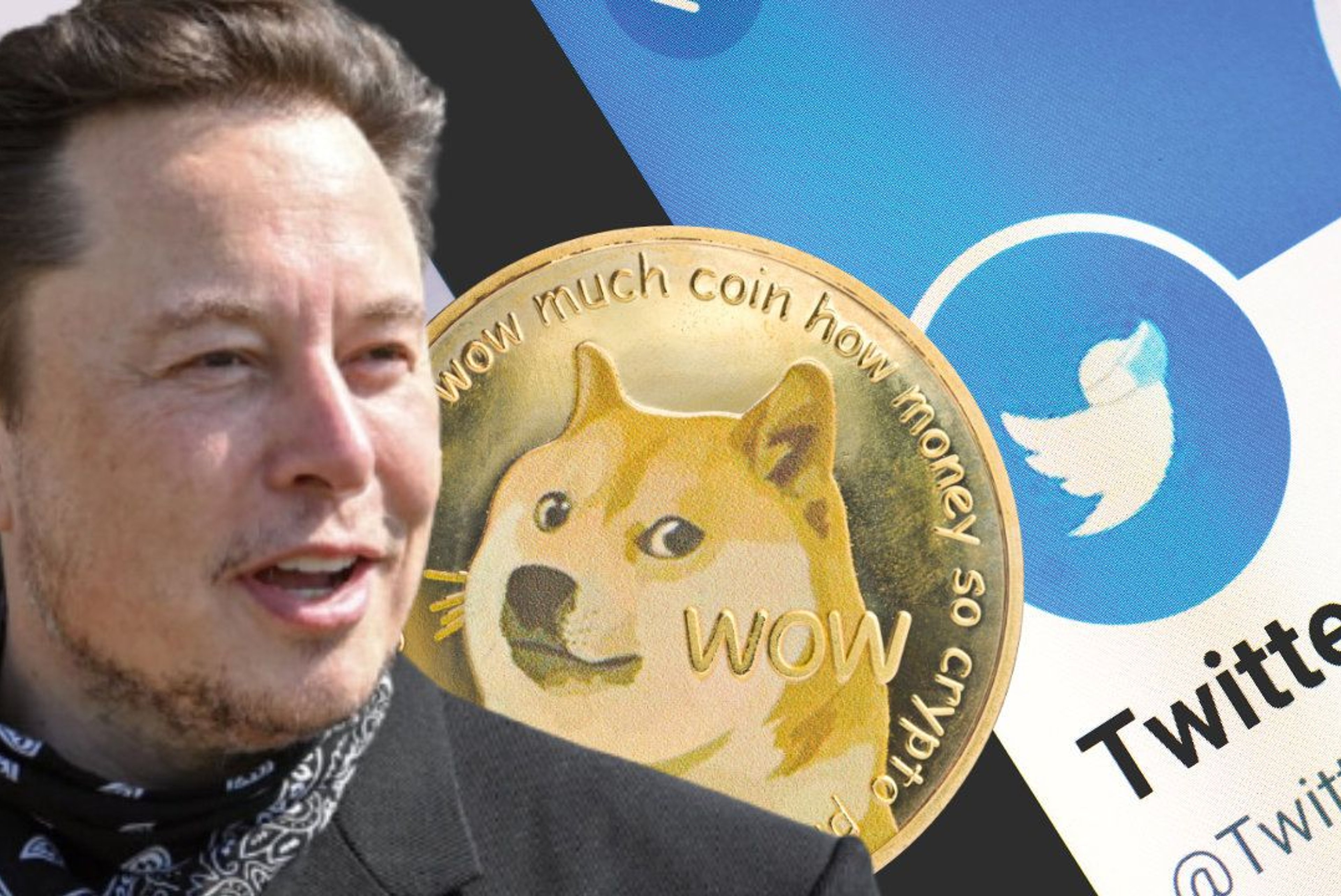 Elon Musk Sued for $258 billion Over Dogecoin 'Pyramid Scheme'