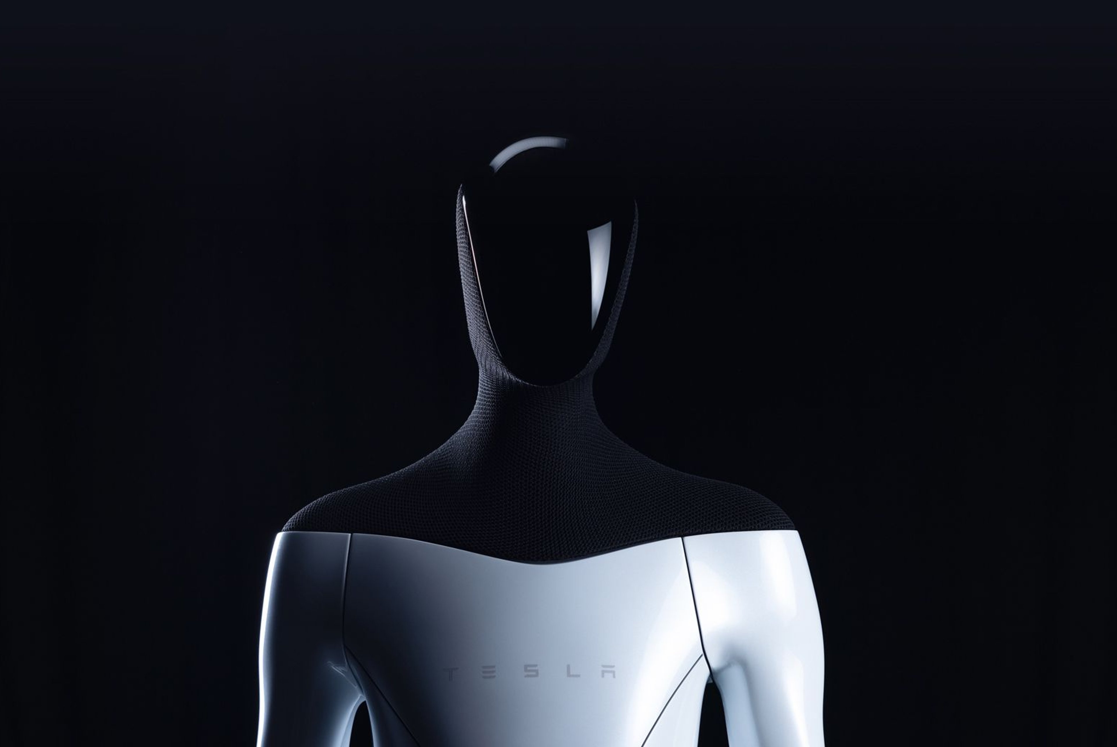 Elon Musk May Create Tesla Bot within Months