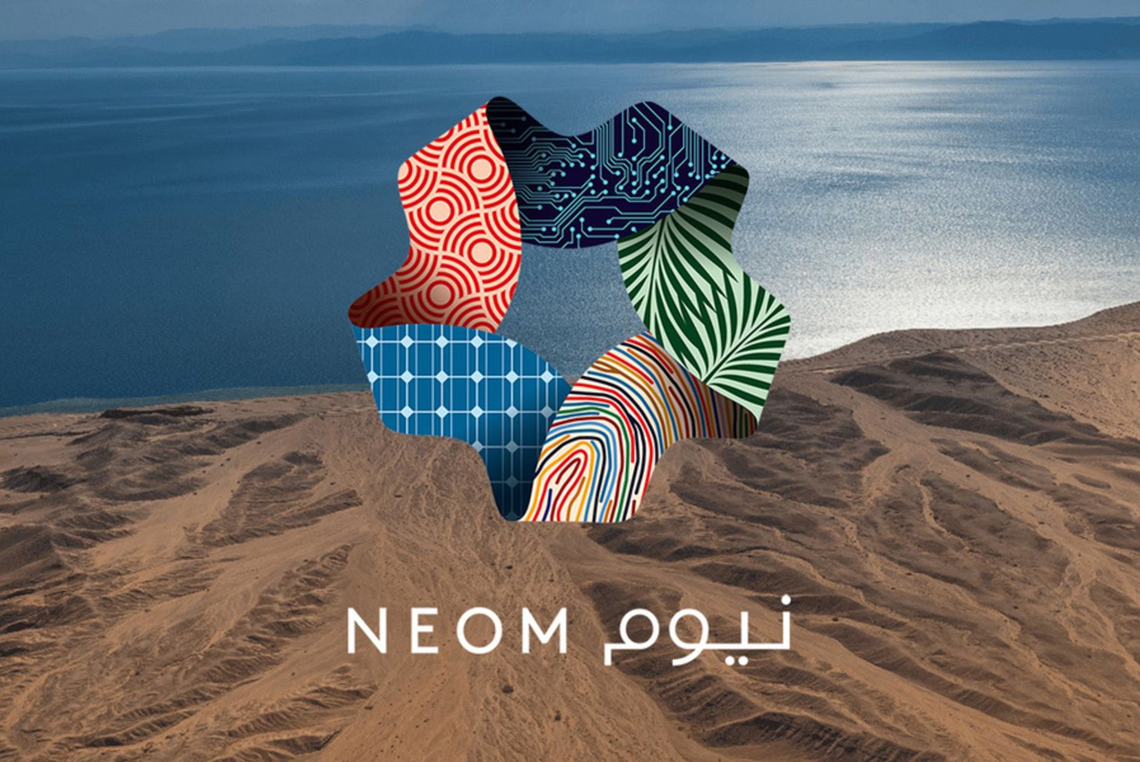 NEOM To Sell Shares Worth $266 bln in 2024