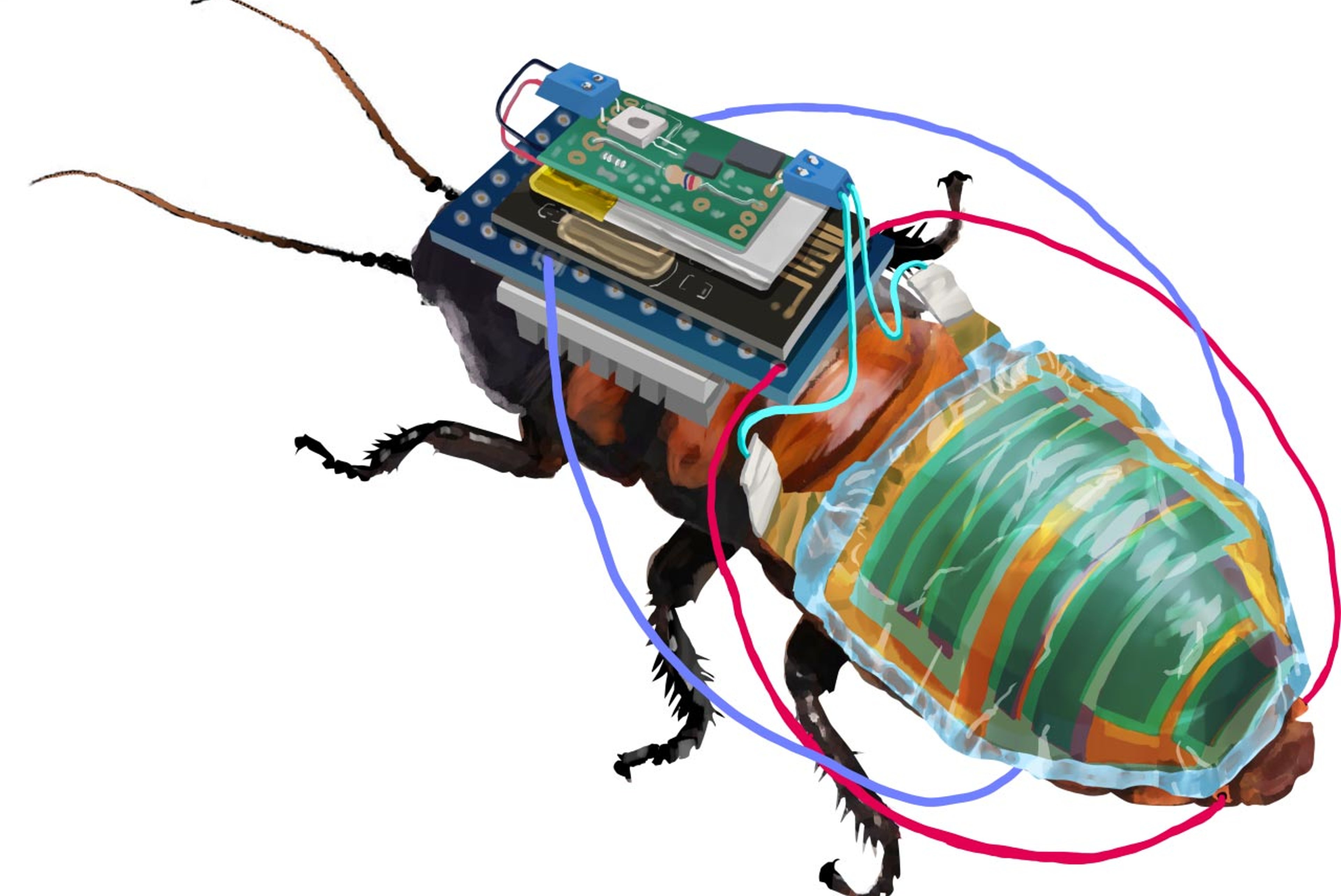 Japanese Scientists Create Remote-Controlled Cyborg Cockroaches