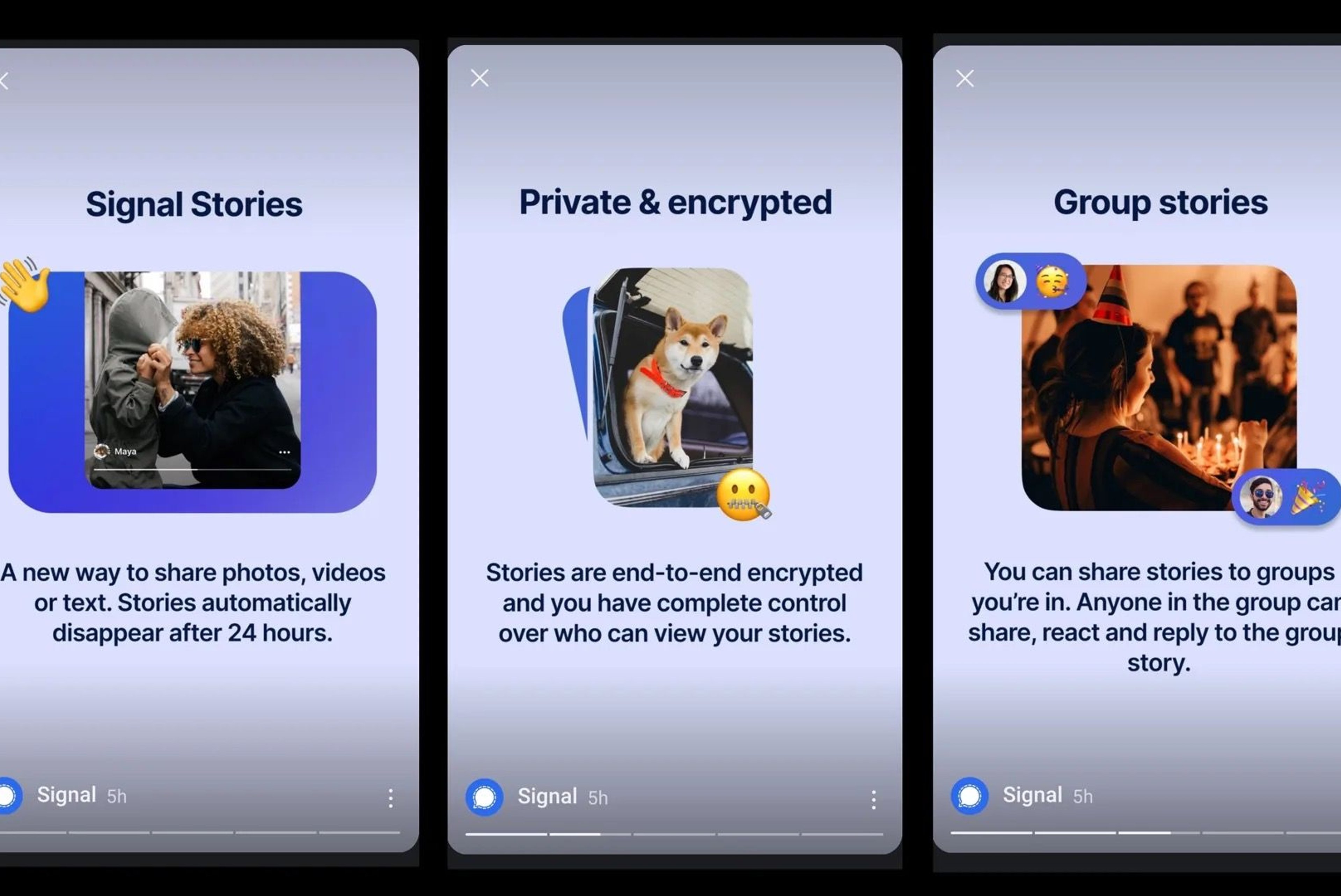 Signal Tests Stories