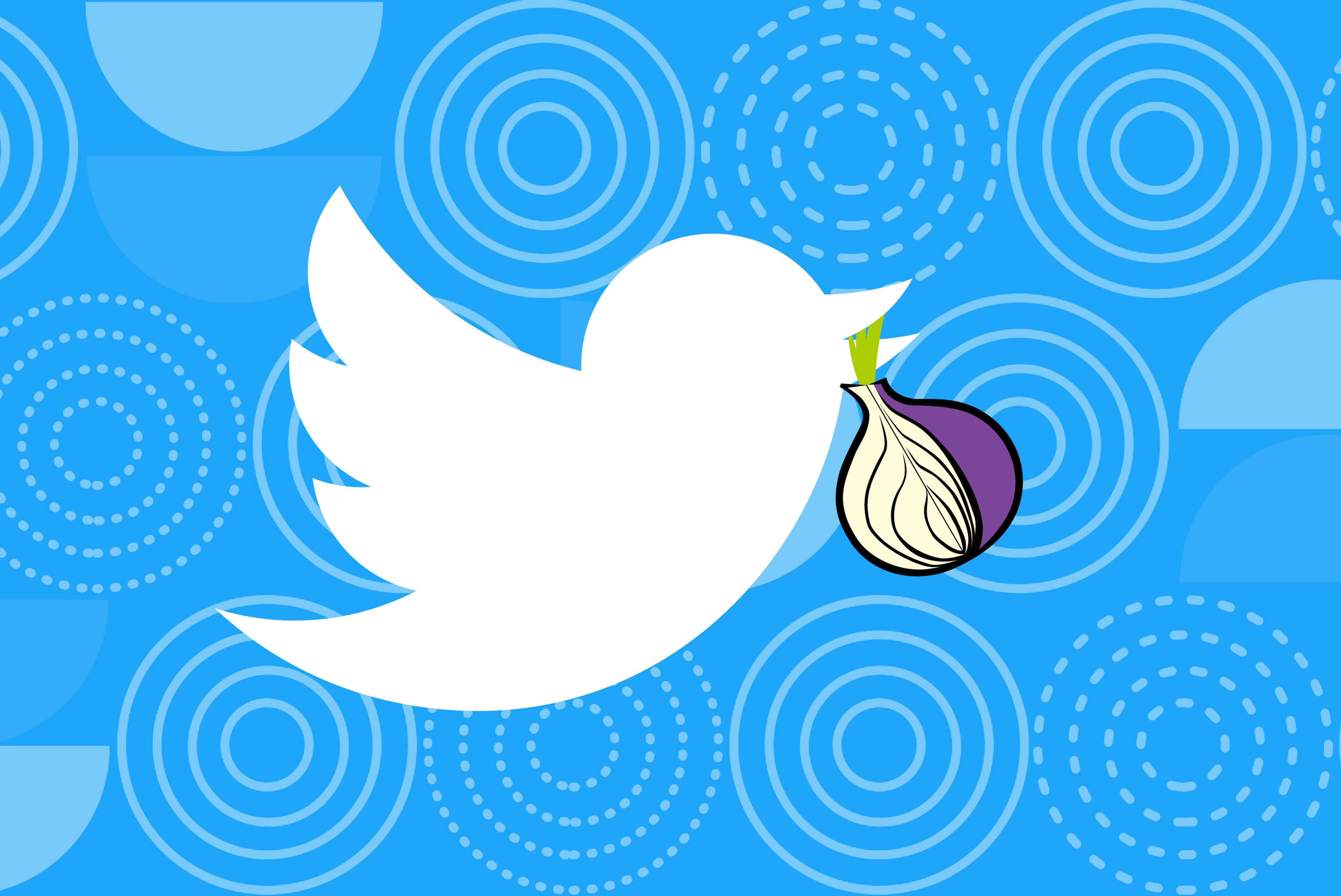 Expiration of Twitter's Tor service endangers users' privacy and security