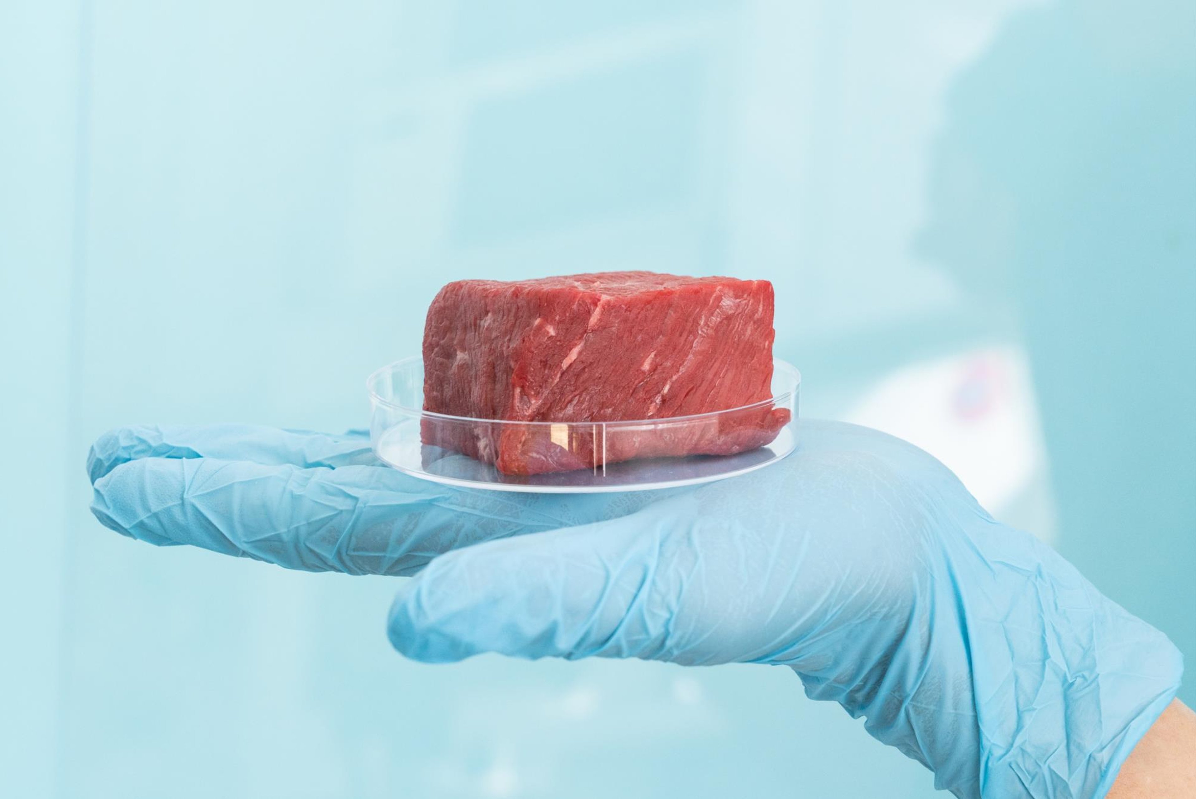 The significant issue with lab-grown meat