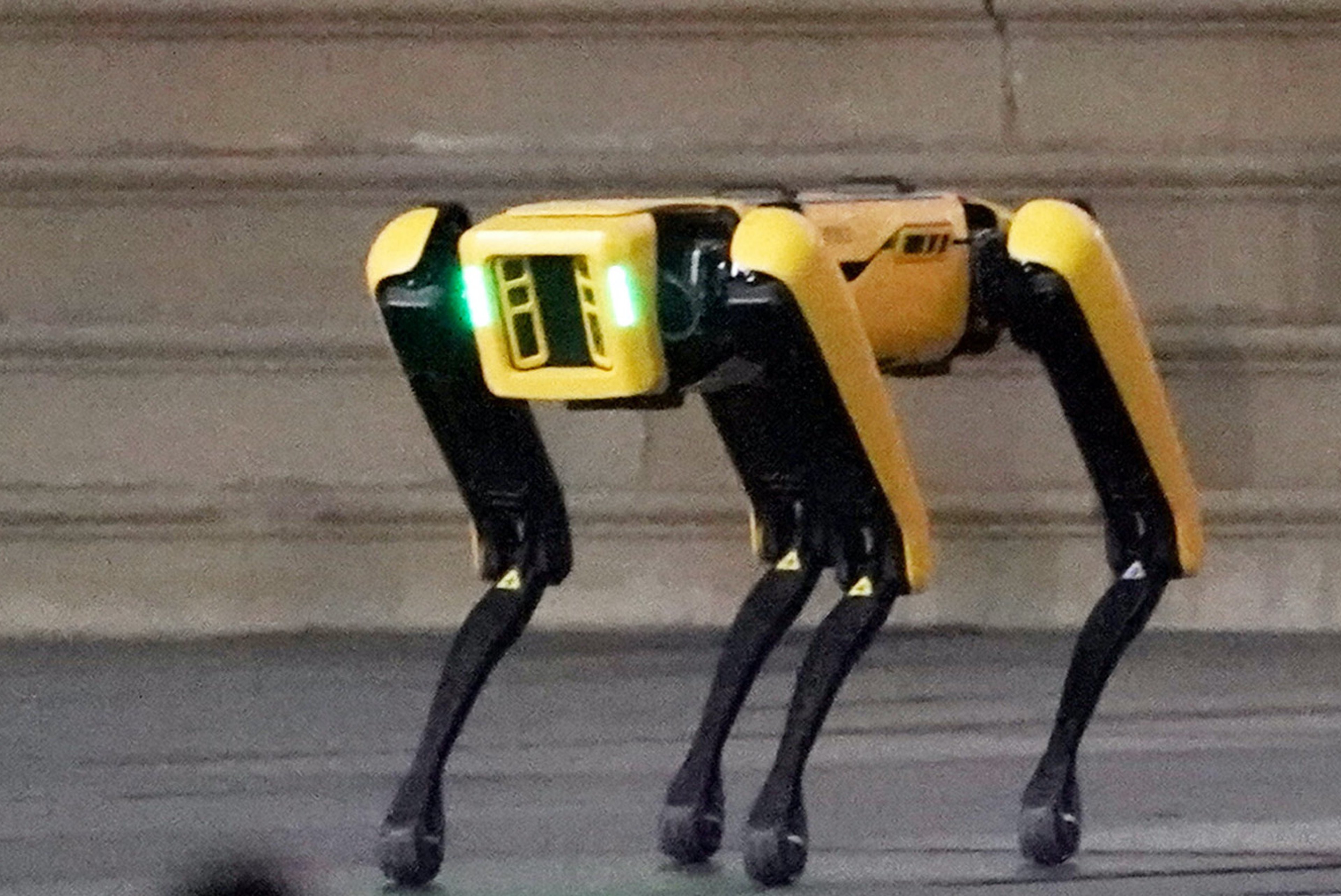 FDNY's $75K robodog falls over on first job
