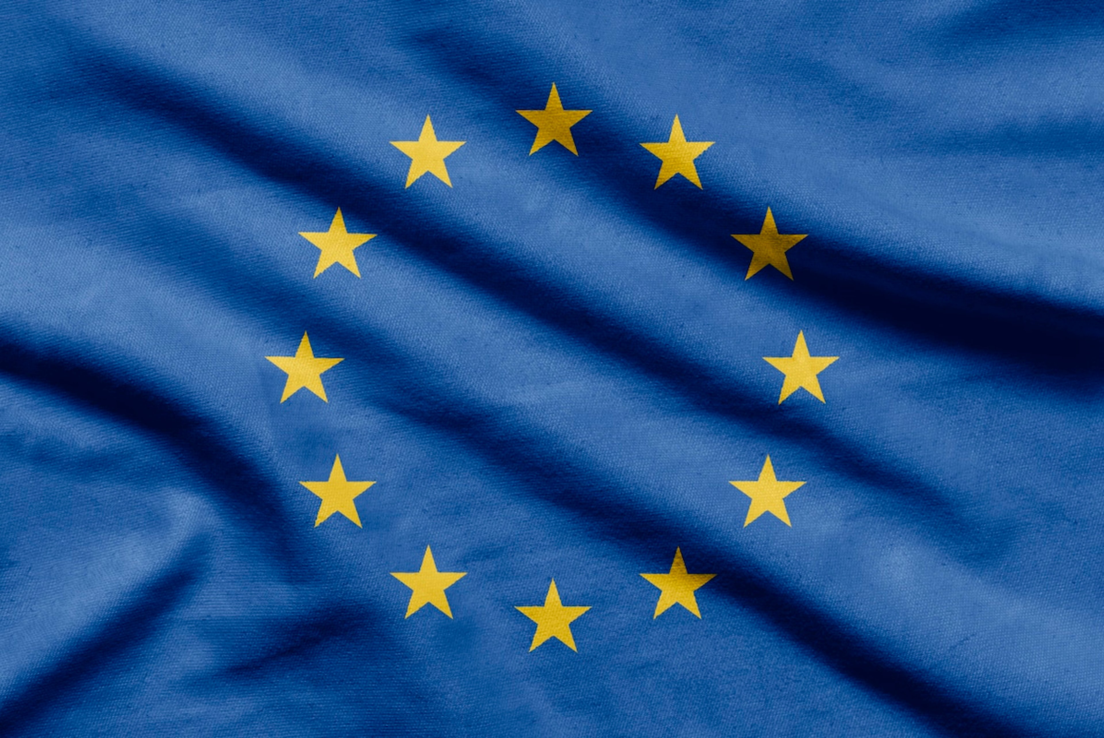 The European Union has unveiled the list of platforms subjected to the strictest level of regulation under the Digital Services Act (DSA)