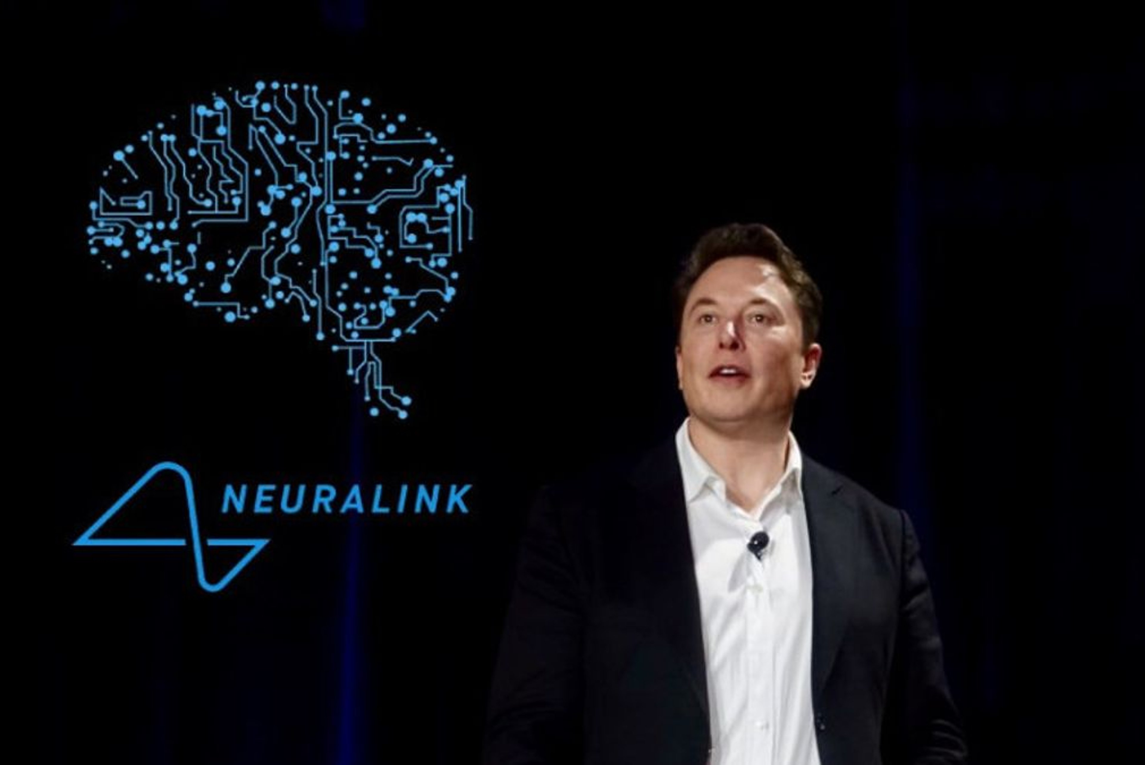 Musk's Neuralink receives FDA approval for human brain implant study