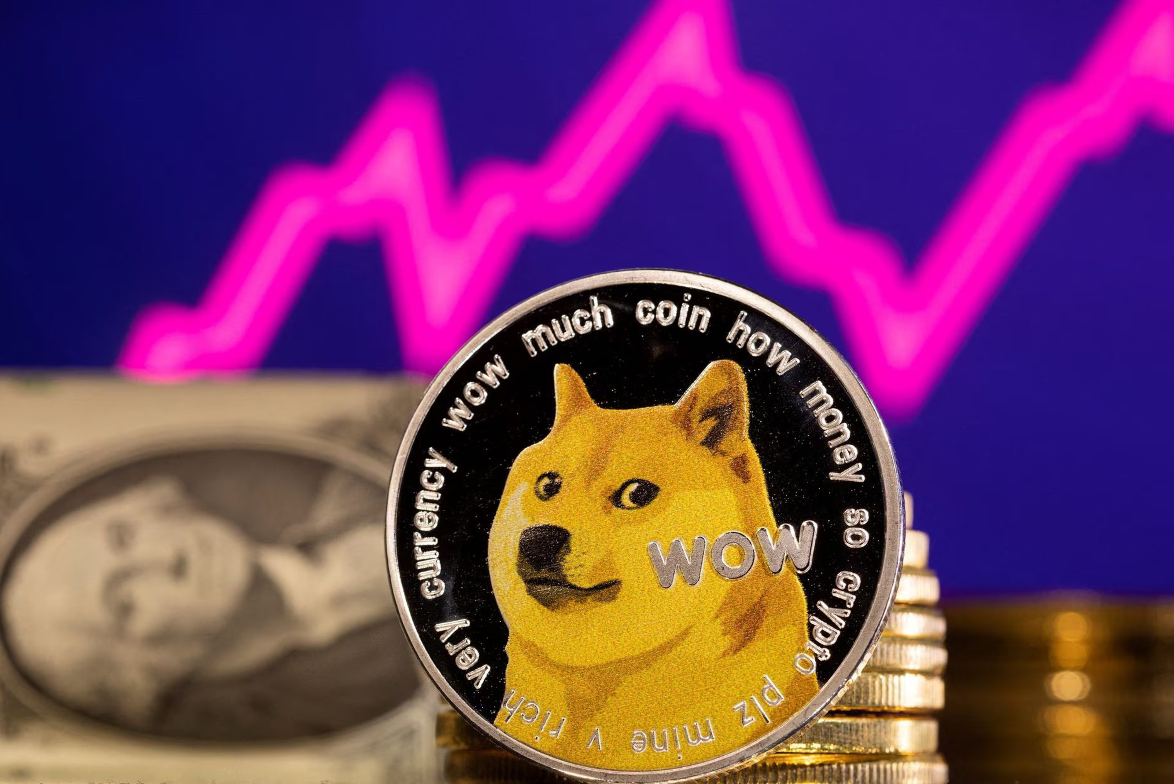 Investors accuse Elon Musk of manipulating Dogecoin