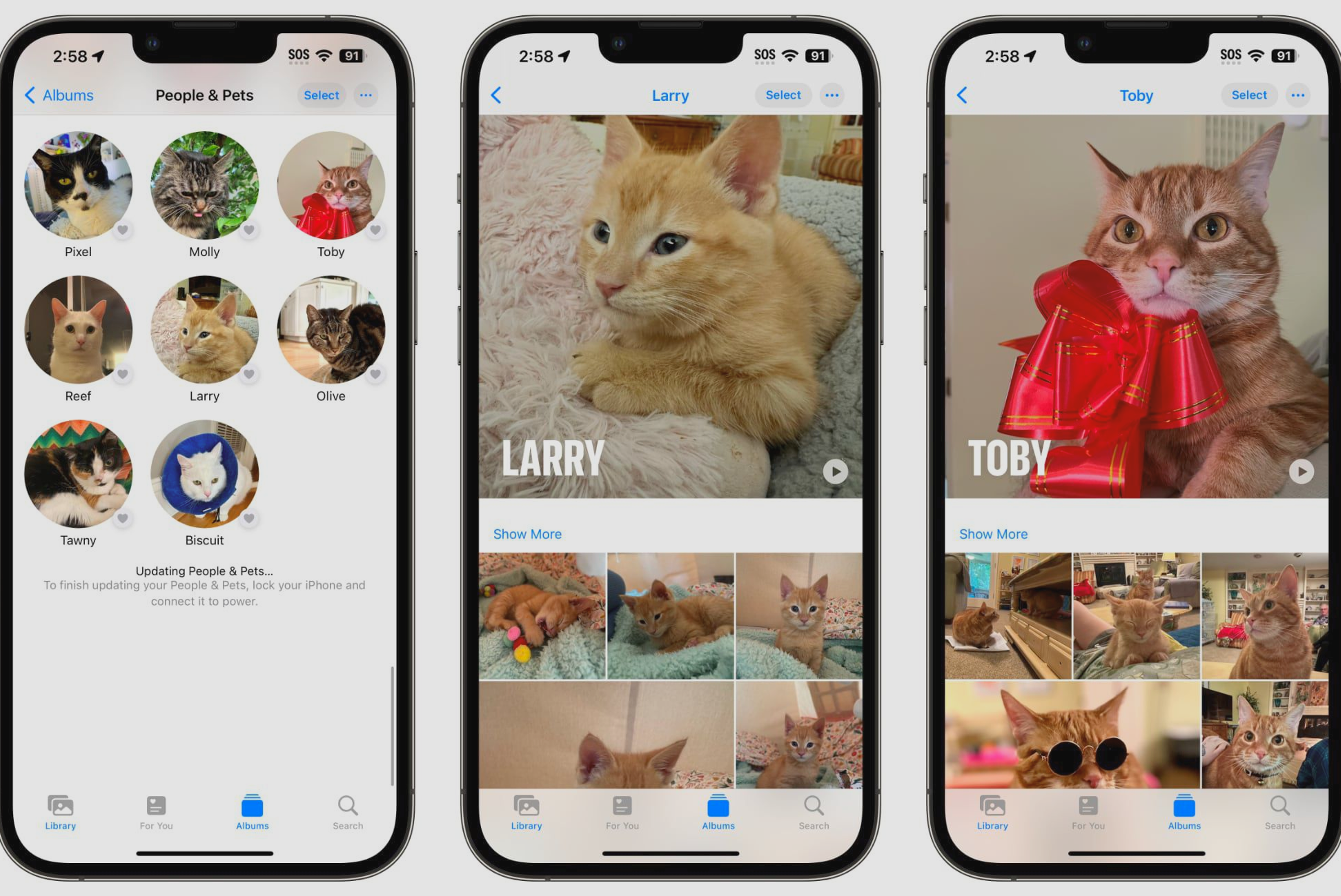 iOS 17 enhances Photos app with pet recognition feature