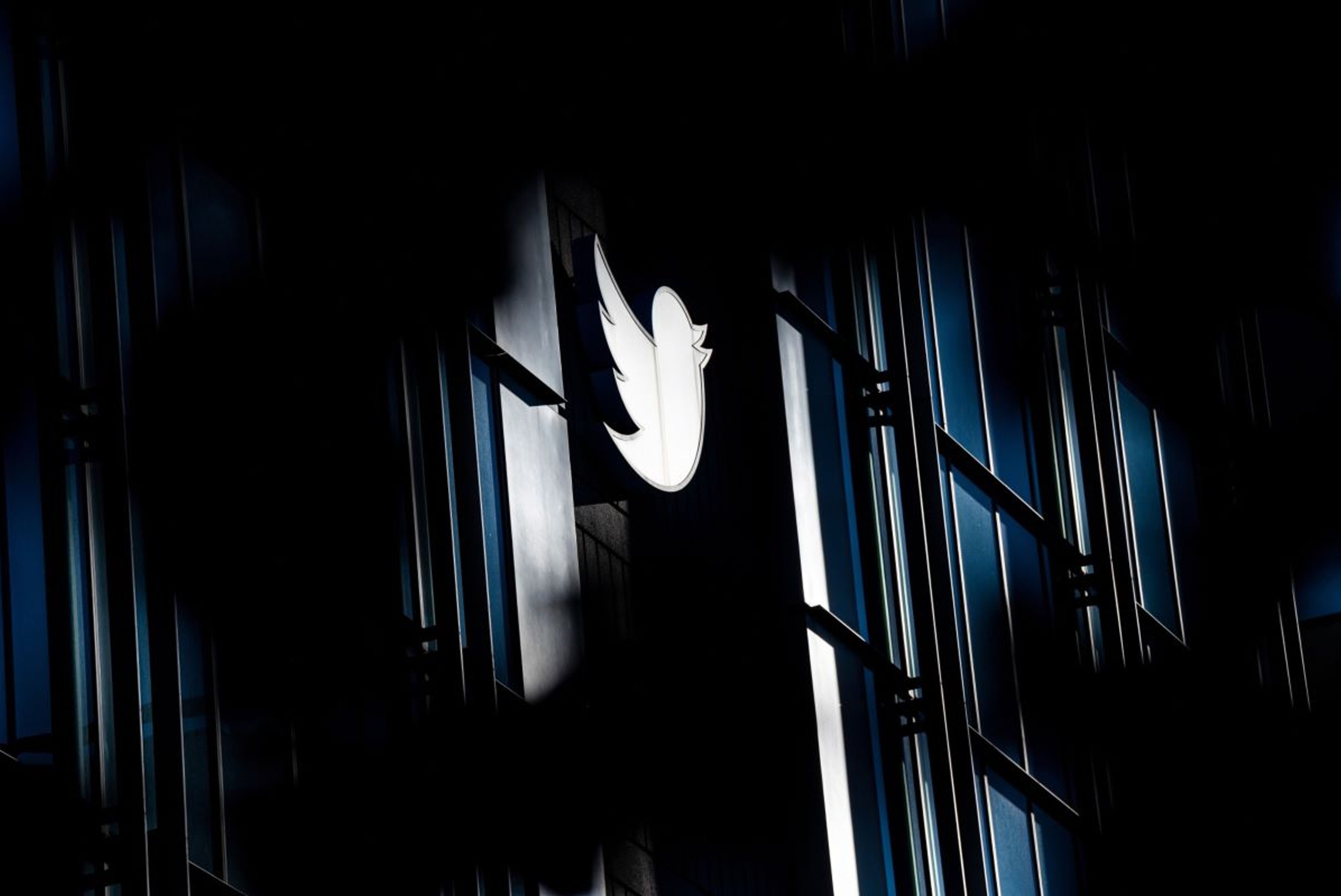 Elon Musk reveals 50% drop in Twitter's ad revenue