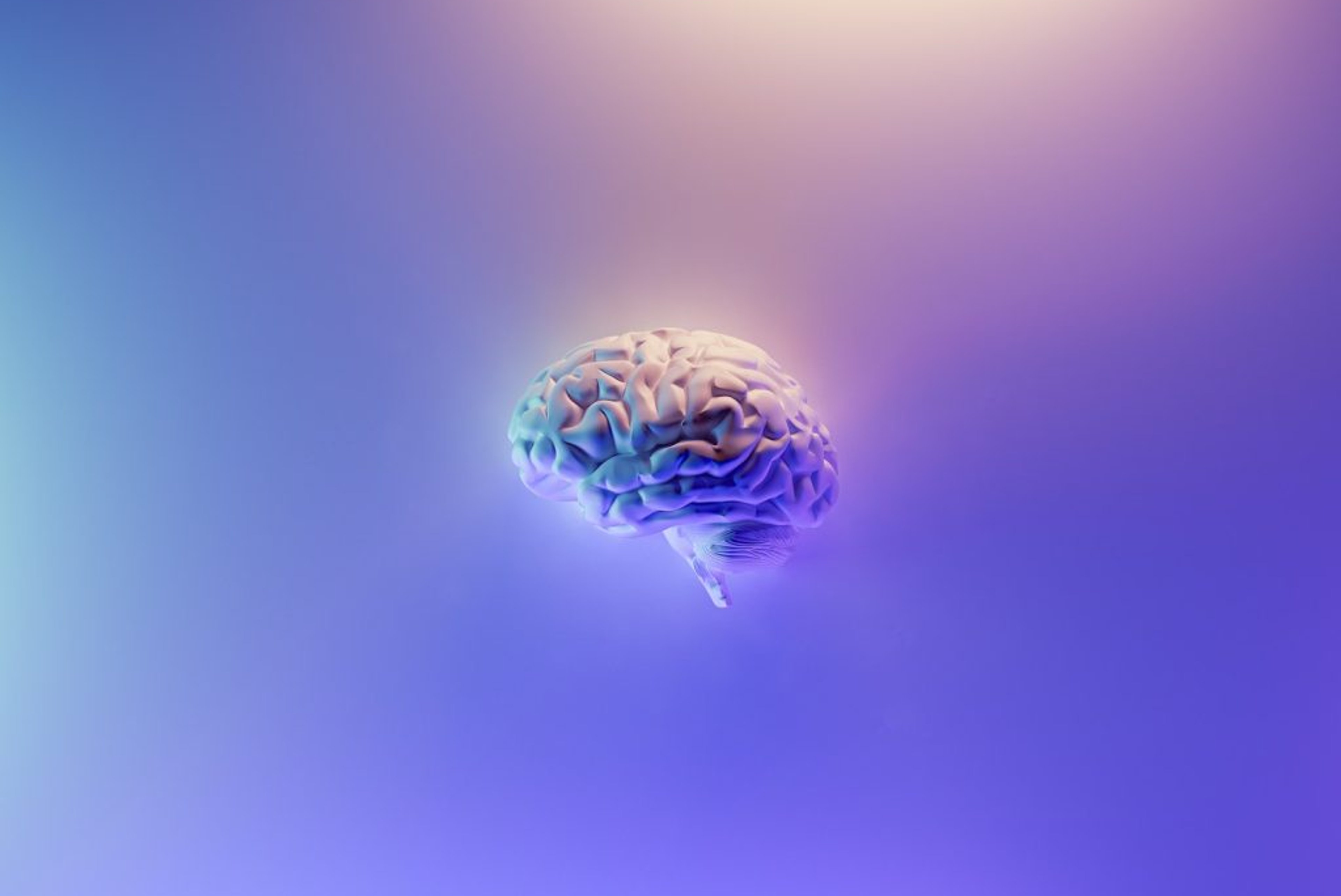 Neuralink, Elon Musk’s brain implant startup, quietly secures additional $43m amid controversy