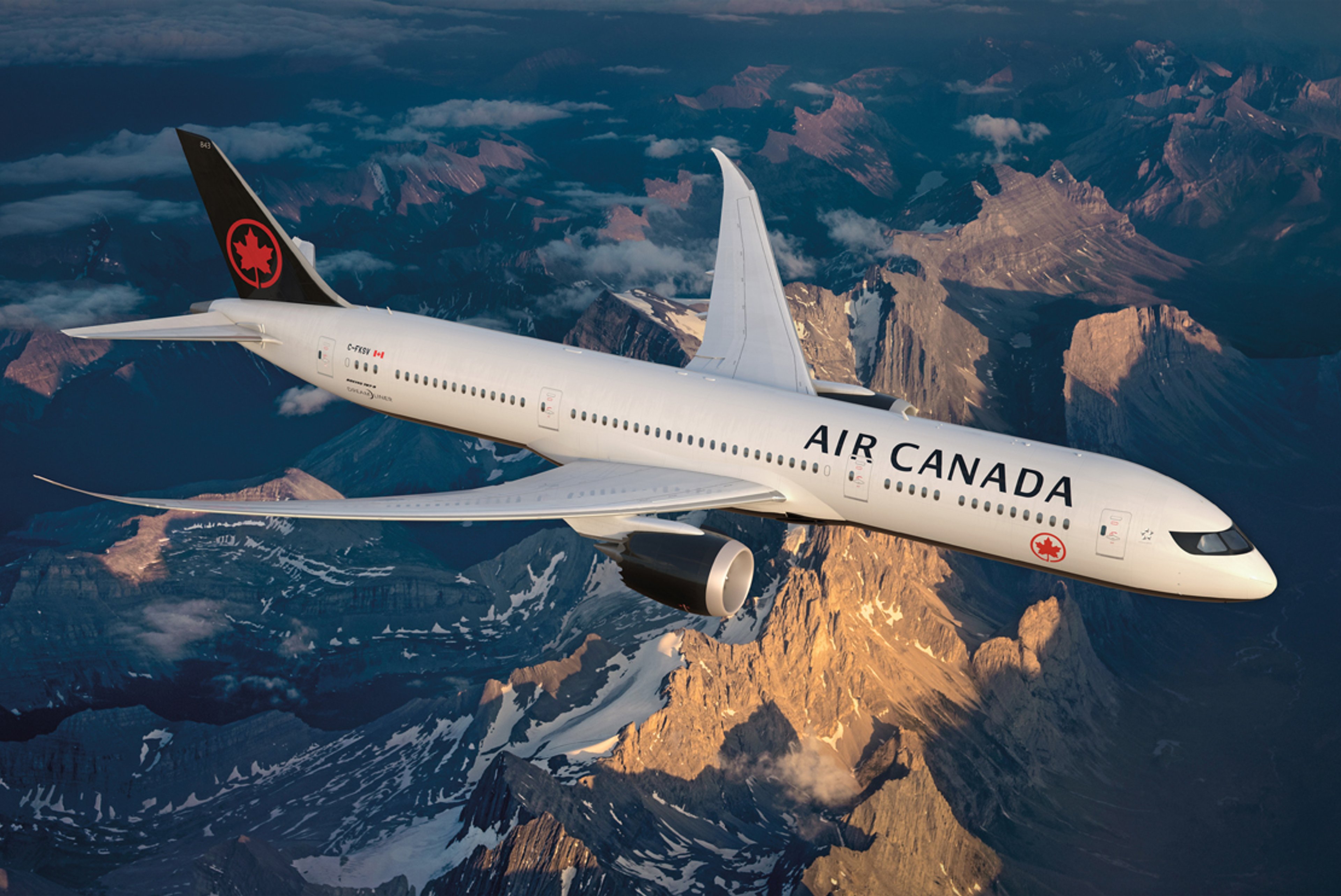 Canada's largest airline ordered to compensate customer misled by its chatbot