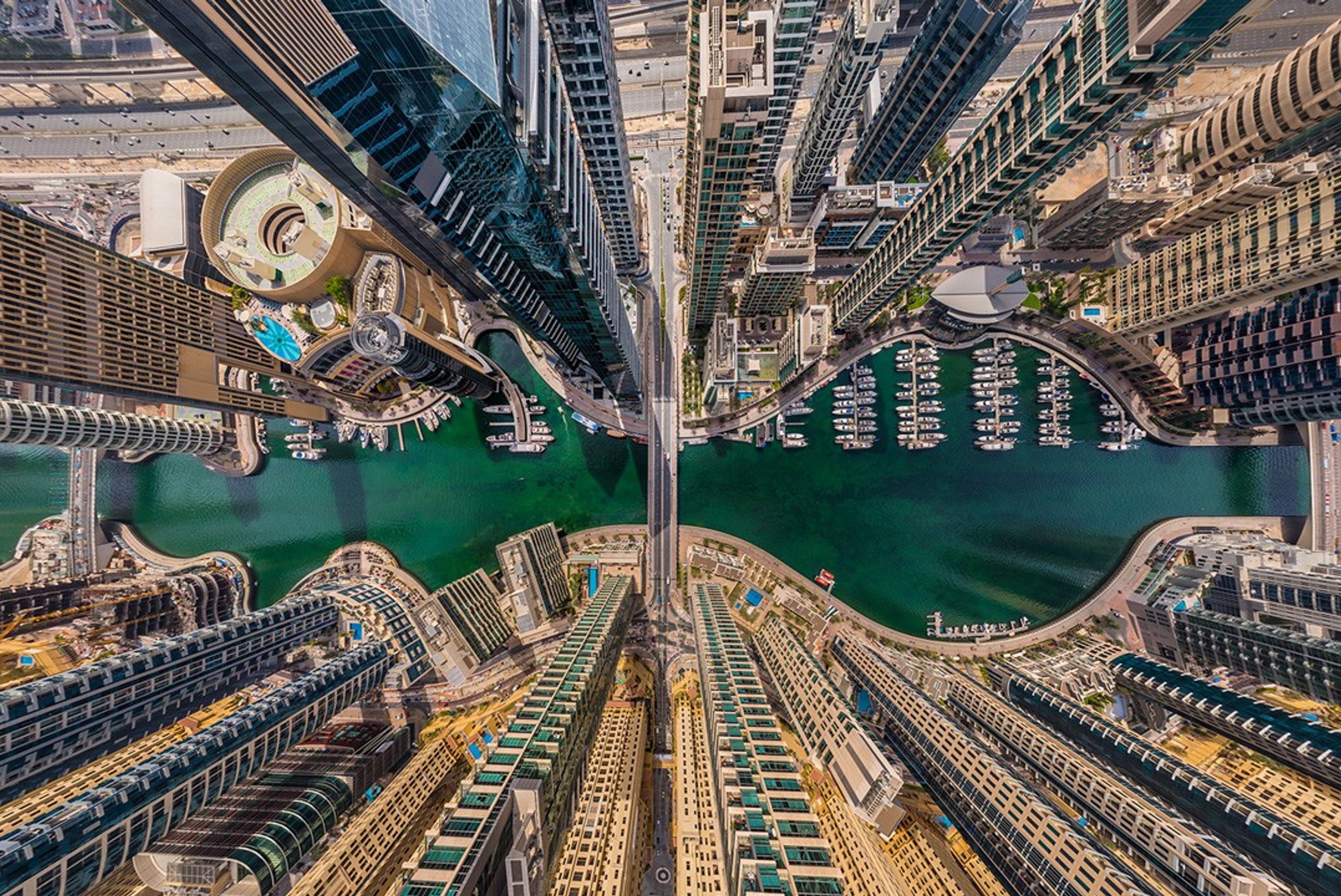 UAE seeks AI partnership with US to become global tech leader