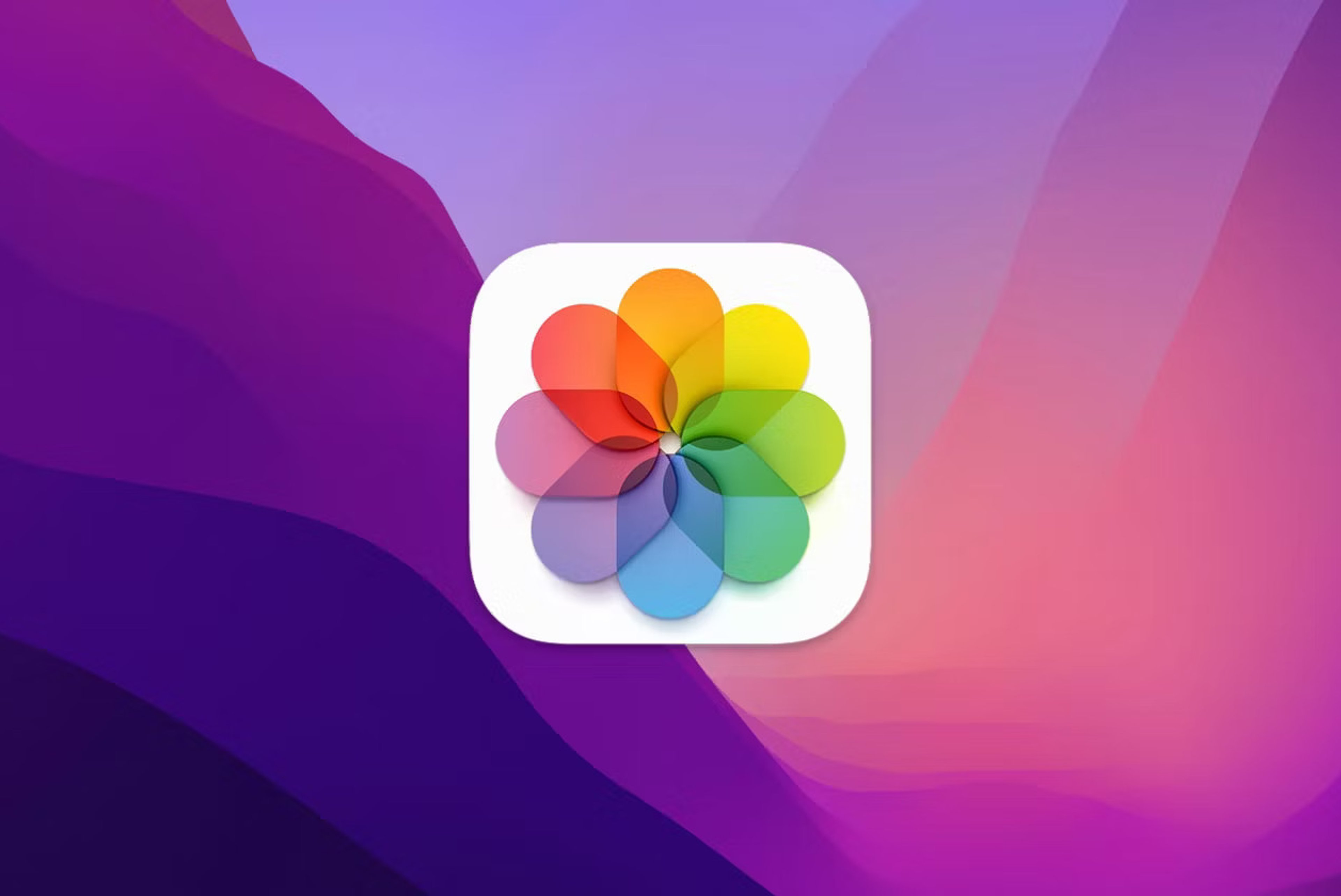 Apple adds AI-powered object removal feature in latest iOS developer beta
