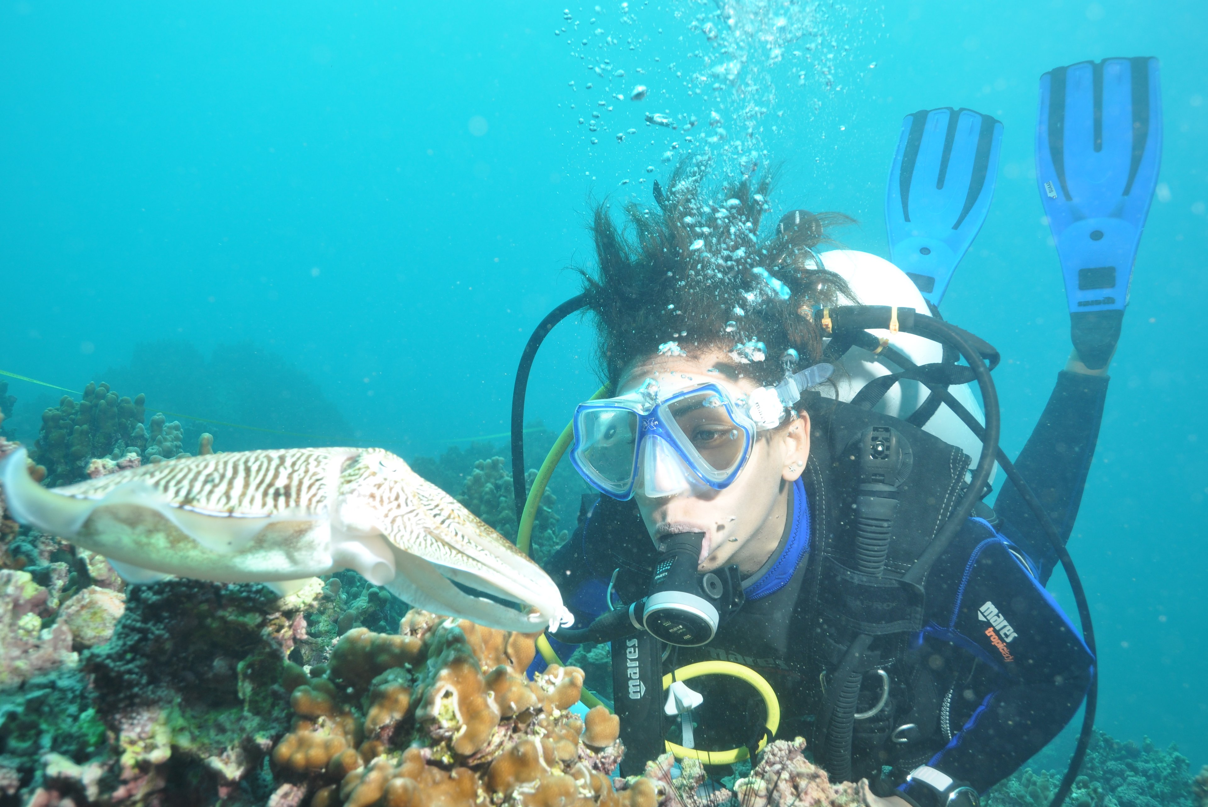 Women in Science: How Suaad Al Harthi is Preserving Oman’s Marine Ecosystems
