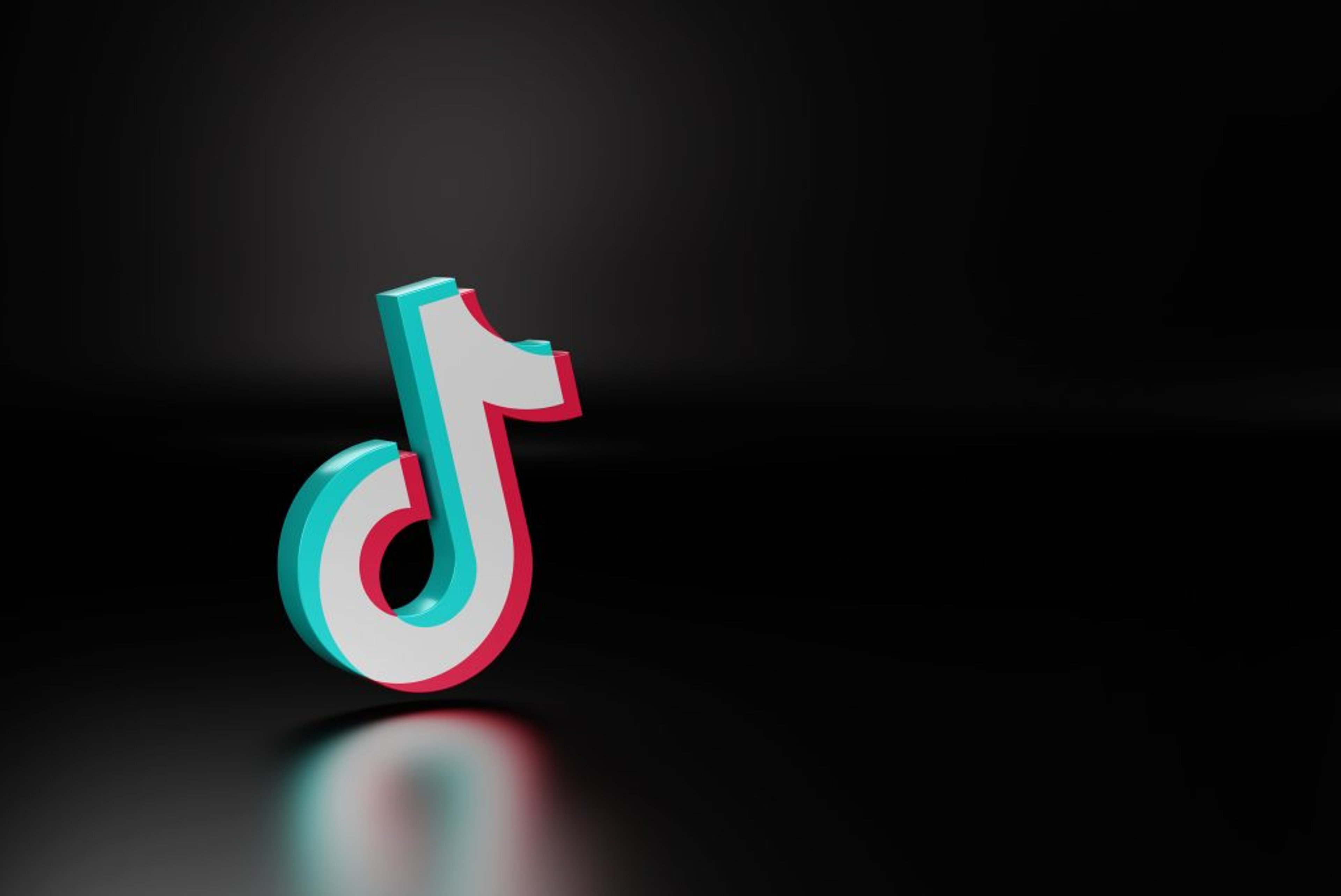 TikTok Denies Rumors of U.S. Sale to Elon Musk