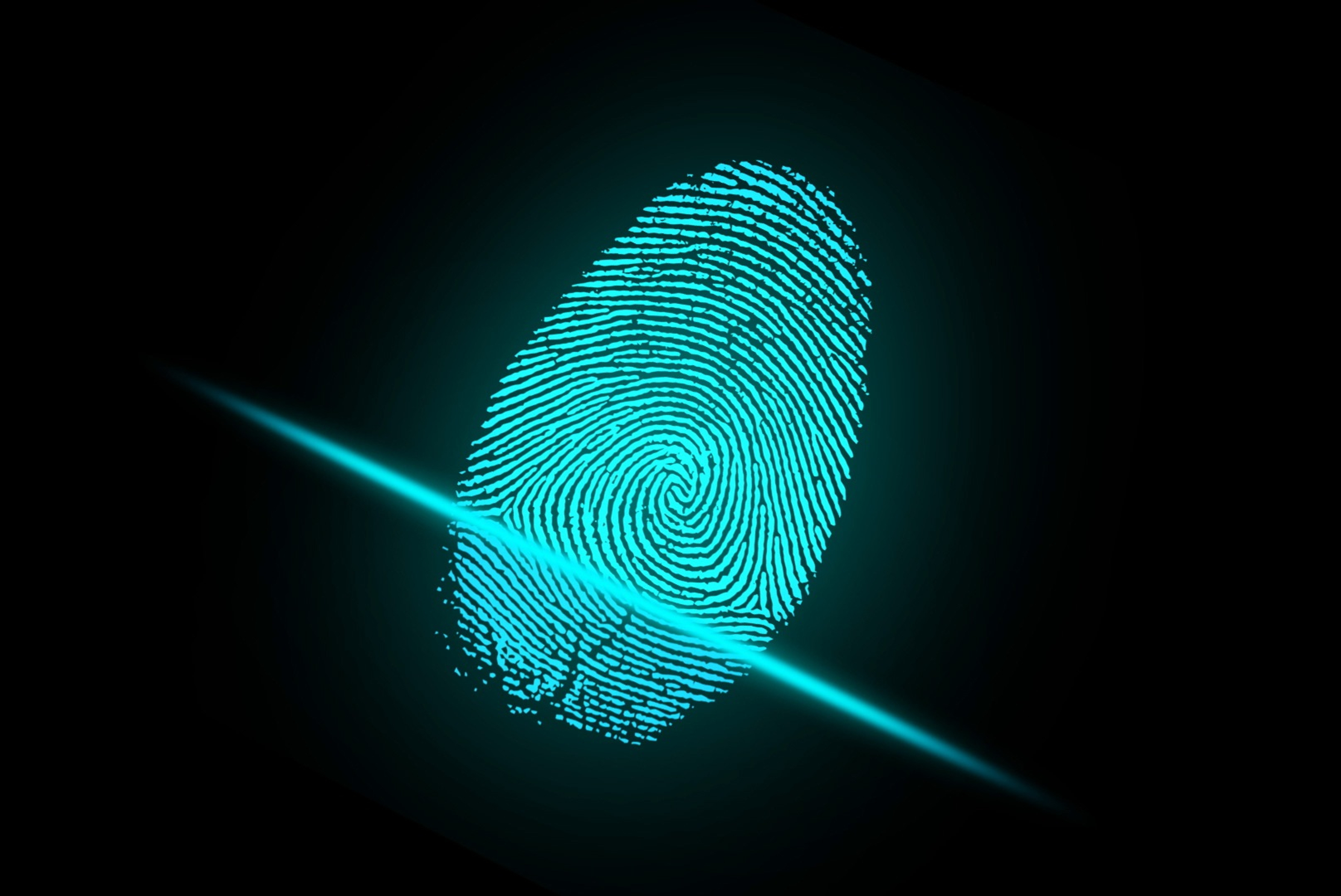 Phishing Attacks Surge to 900M in 2024