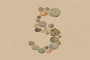 Anthropic launches Claude Opus 5, bringing near-Fable performance at half the price