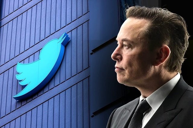 Musks Claims Twitter's "Fake Account" Evasion Is a Major Breach
