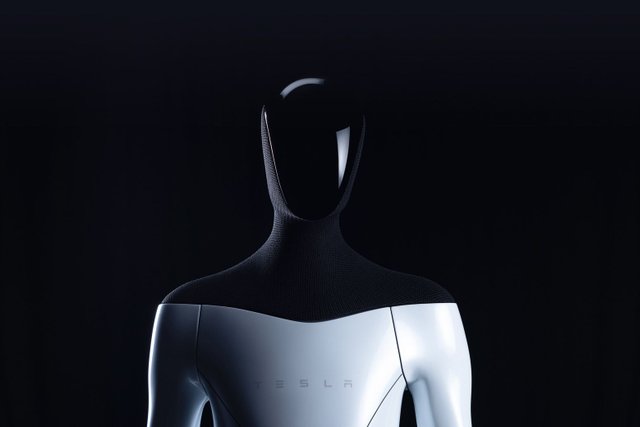 Elon Musk May Create Tesla Bot within Months