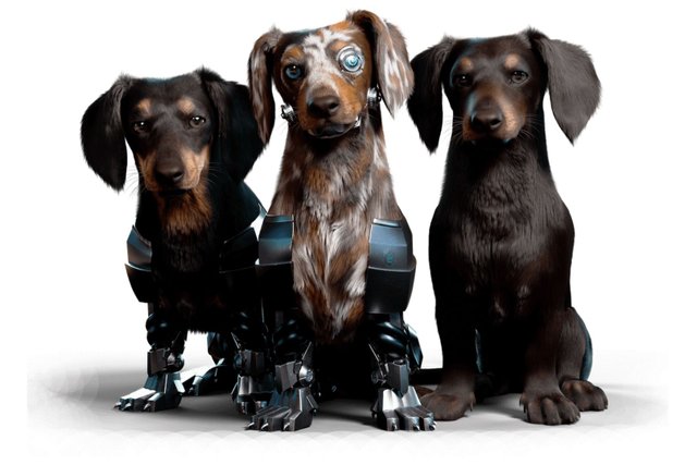 Tel Aviv-Based Start-Up Develops Virtual Companions in the Metaverse