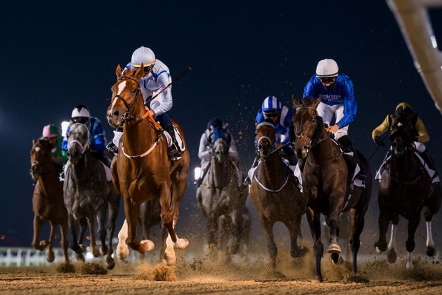 Dubai Racing Club Announces NFT Art Collection