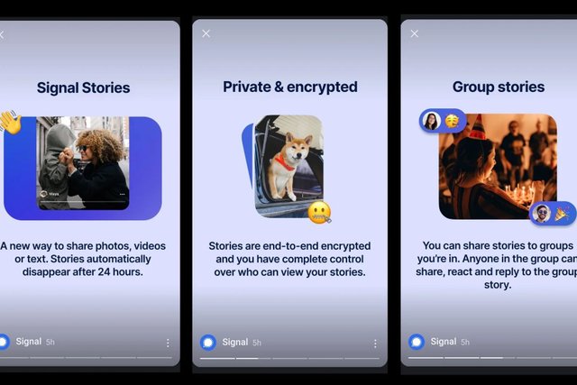 Signal Tests Stories