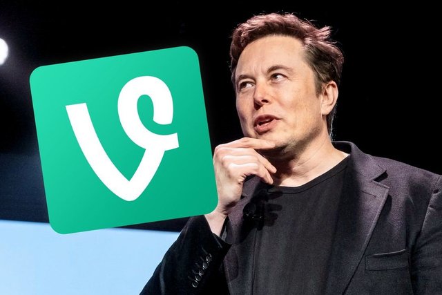 Elon Musk Plans to Bring Back Vine, Predecessor of TikTok