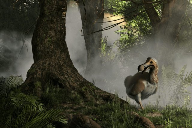 The billion-dollar startup aims to de-extinct the iconic dodo bird