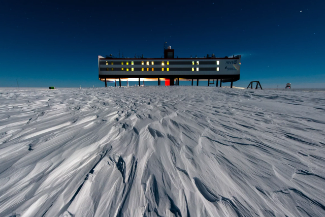 Loneliness, Bias, and Brain Changes: How Chronic Isolation Shapes Our Minds and Behavior