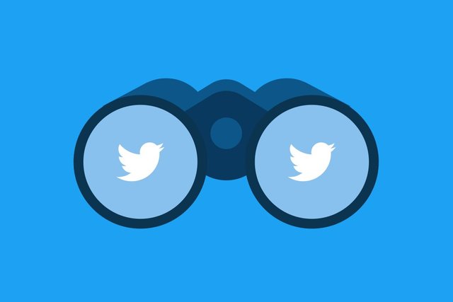 Twitter will exclude all accounts without paid verification from its algorithmic timeline
