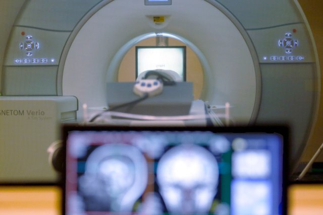 New AI decoder can convert brain activity into text