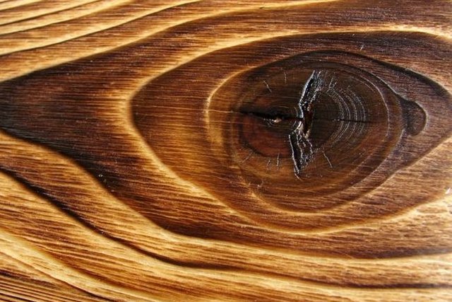Scientists successfully test wood's durability in space, prepare to launch wooden satellite