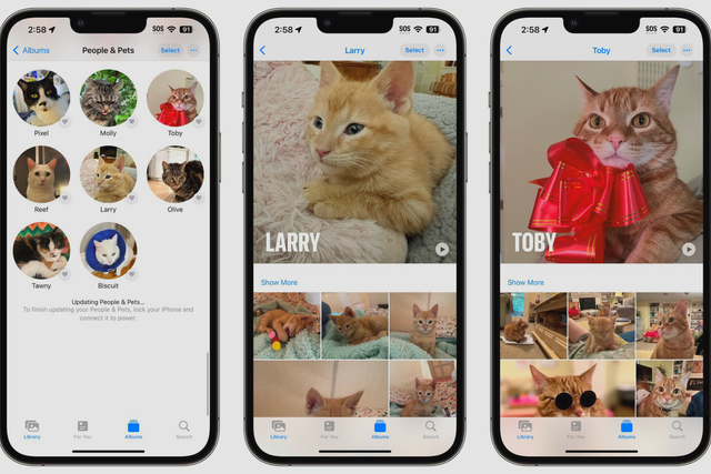iOS 17 enhances Photos app with pet recognition feature