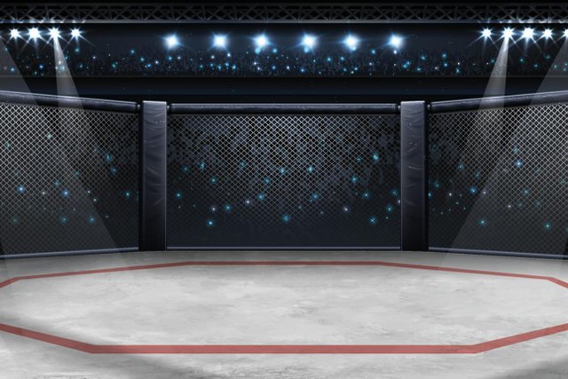 Elon Musk and Mark Zuckerberg to face off in epic cage fight
