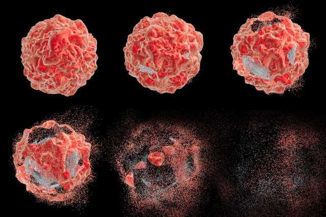 Scientists discover gene therapy trick that makes cancer cells self-destruct
