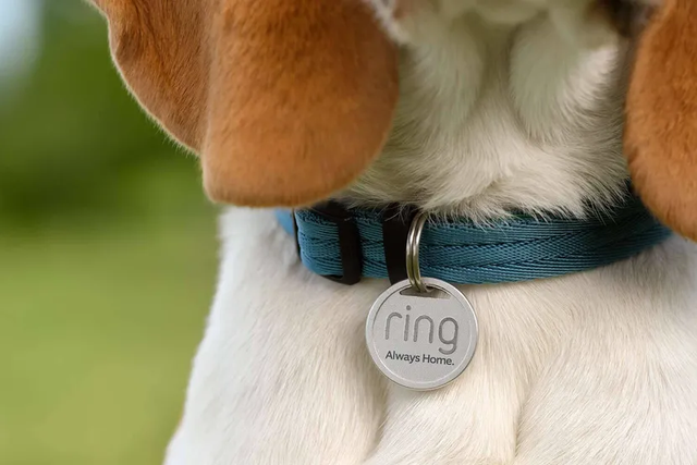 Ring's new pet tag uses QR codes to reunite lost pets with owners