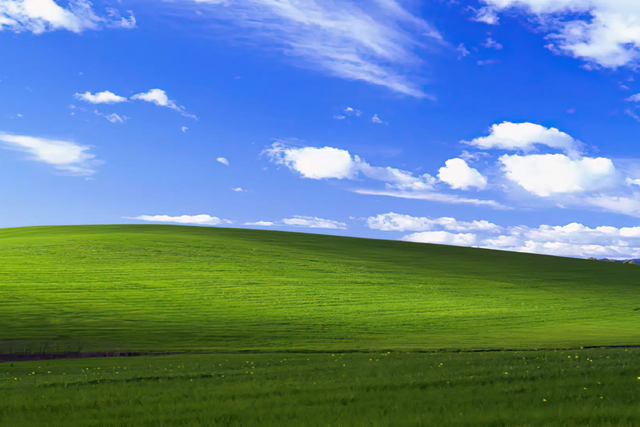 Windows ugly sweaters return, featuring iconic Bliss backdrop from XP era