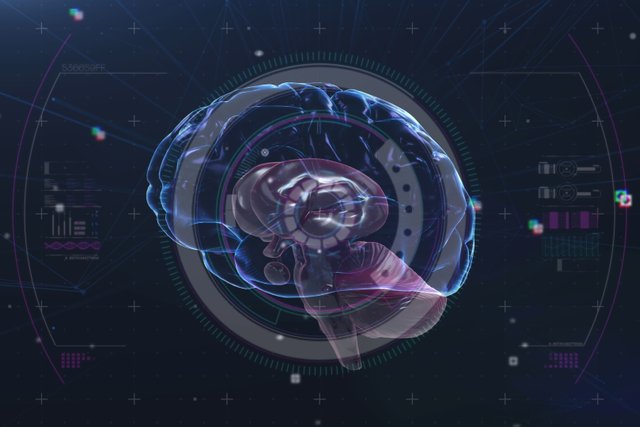 China unveils monkey controlled robotic arm with brain chip
