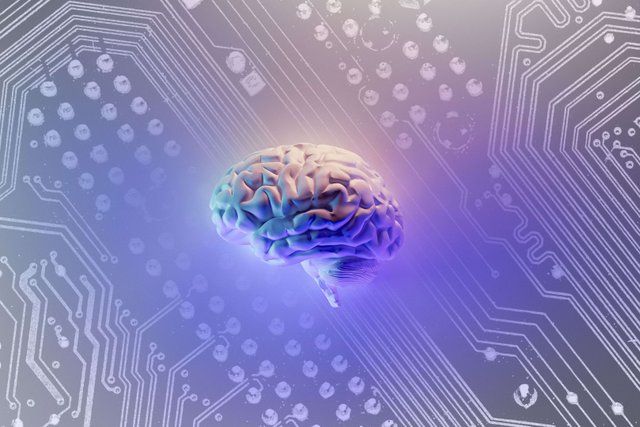 Chinese researchers develop robot controlled by human brain cells