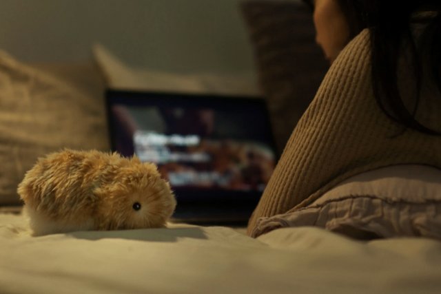 Casio unveils Moflin, a furry robot pet designed to calm and comfort users